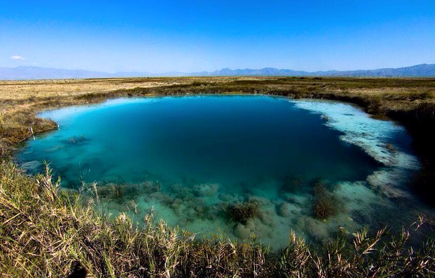 Portada de Derecho al agua y combate a empresas fantasma